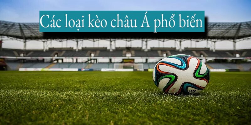 Đa dạng cược chấp châu Á giúp người chơi có nhiều sự lựa chọn hơn